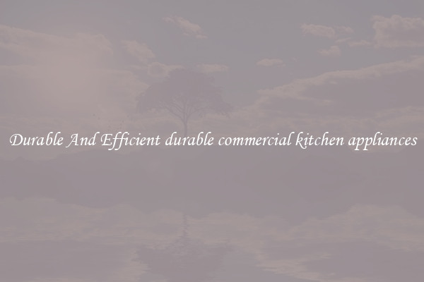 Durable And Efficient durable commercial kitchen appliances