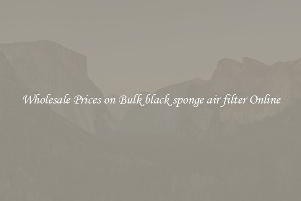 Wholesale Prices on Bulk black sponge air filter Online