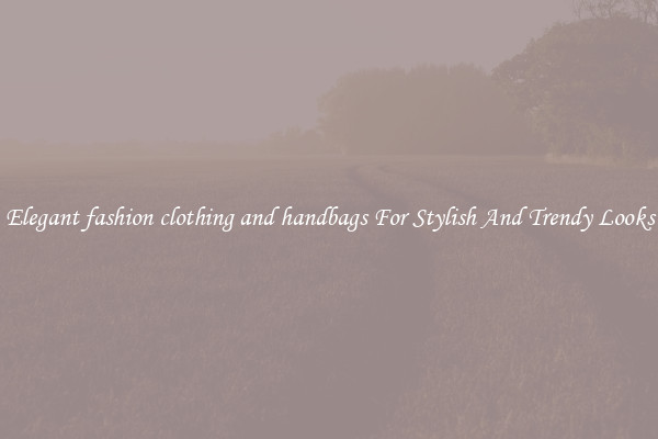 Elegant fashion clothing and handbags For Stylish And Trendy Looks