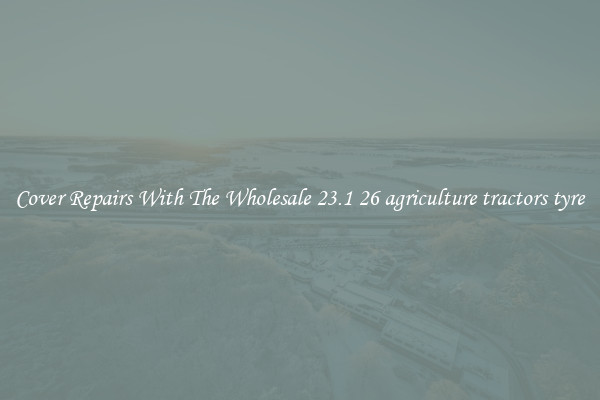  Cover Repairs With The Wholesale 23.1 26 agriculture tractors tyre 