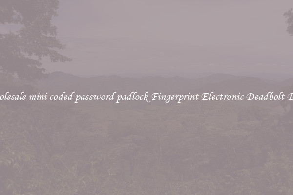 Wholesale mini coded password padlock Fingerprint Electronic Deadbolt Door 