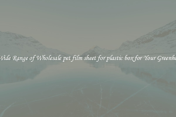 A Wide Range of Wholesale pet film sheet for plastic box for Your Greenhouse