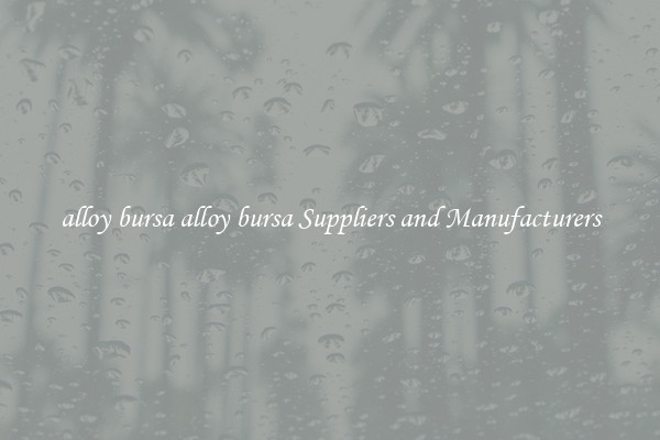 alloy bursa alloy bursa Suppliers and Manufacturers