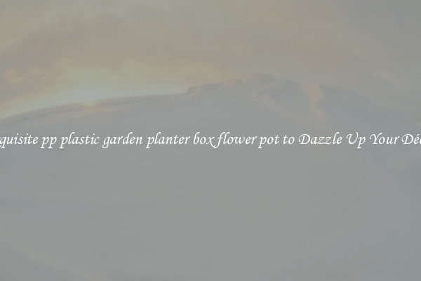 Exquisite pp plastic garden planter box flower pot to Dazzle Up Your Décor 