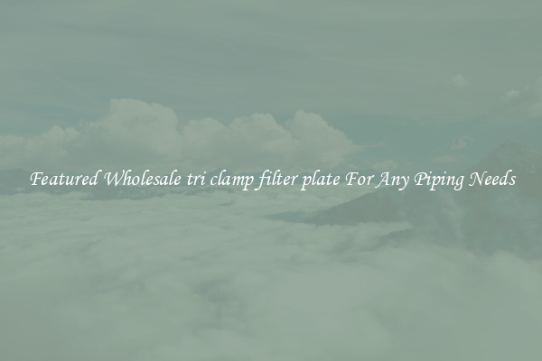Featured Wholesale tri clamp filter plate For Any Piping Needs