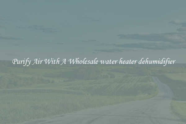 Purify Air With A Wholesale water heater dehumidifier