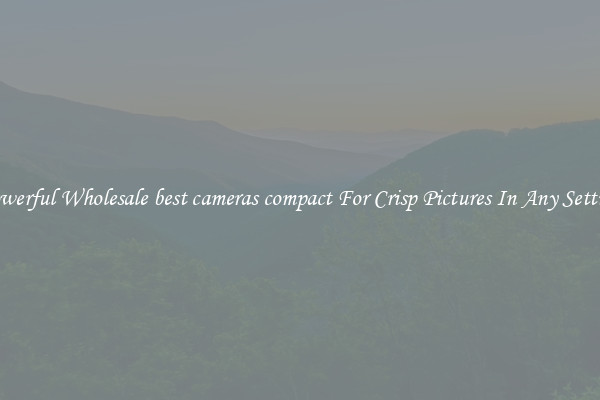 Powerful Wholesale best cameras compact For Crisp Pictures In Any Setting