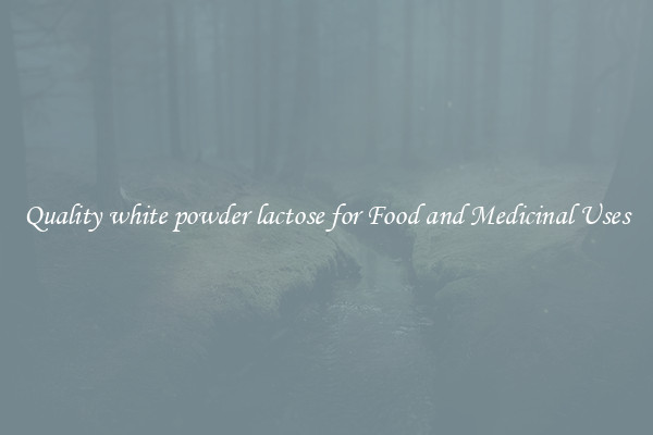 Quality white powder lactose for Food and Medicinal Uses