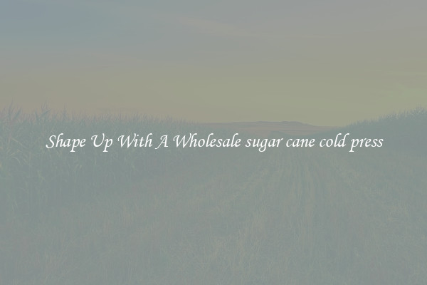 Shape Up With A Wholesale sugar cane cold press