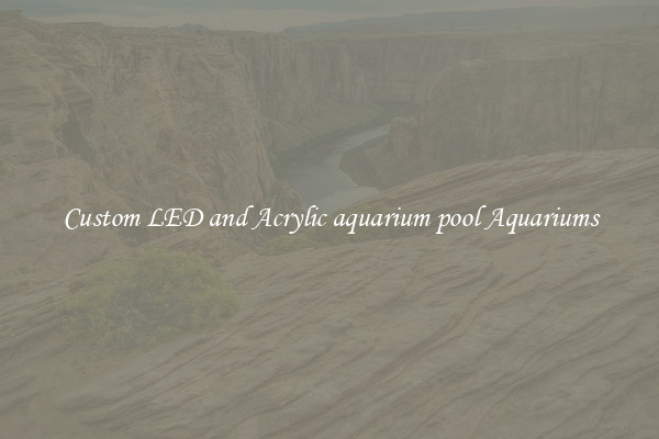 Custom LED and Acrylic aquarium pool Aquariums