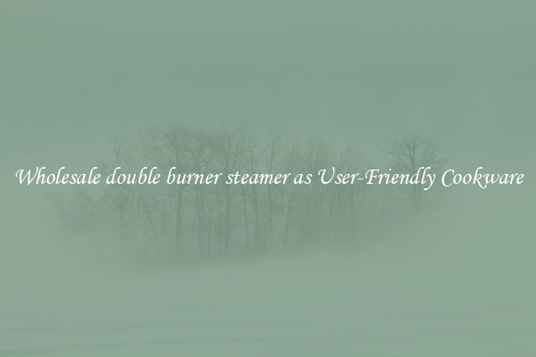 Wholesale double burner steamer as User-Friendly Cookware