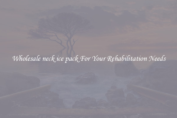 Wholesale neck ice pack For Your Rehabilitation Needs