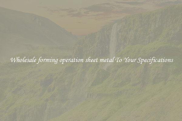 Wholesale forming operation sheet metal To Your Specifications