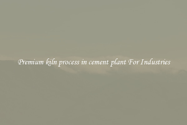 Premium kiln process in cement plant For Industries